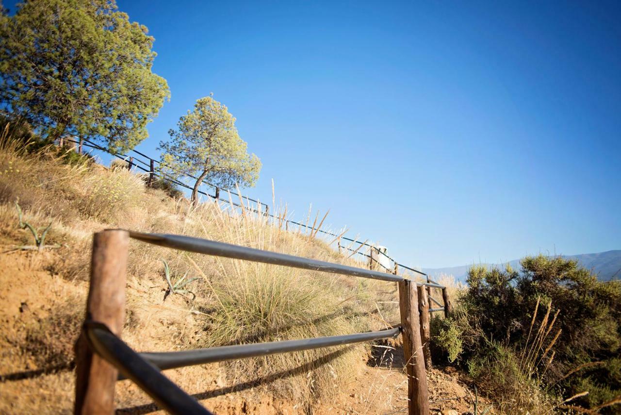 Cuevas De Rolando Pensionat Guadix Eksteriør billede